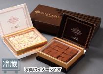 6 シルスマリア　生チョコ２種セット